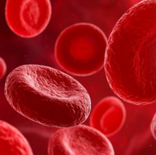 Blood Sugar Balance